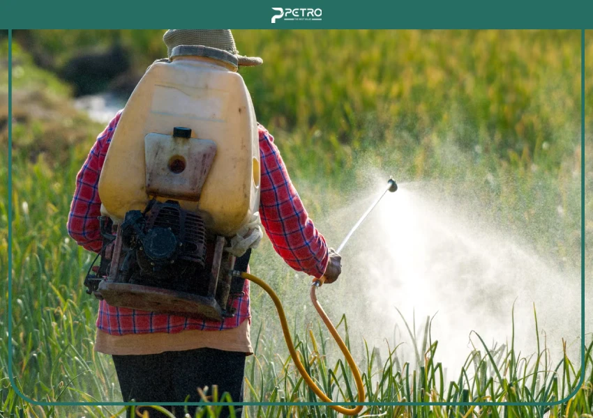 سمپاش چیست؛ انواع و راهنمای خرید انواع سم پاش